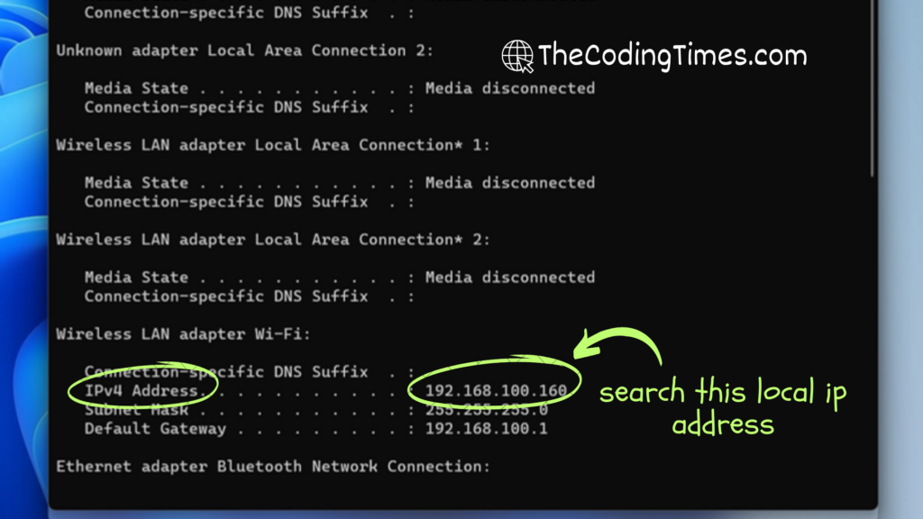 Locate the IPv4 address